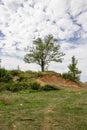 Lonely tree on the hill, rural landscape. Albanian nature Royalty Free Stock Photo