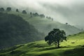 Lonely tree on a hillside in the morning mist, Generative AI Royalty Free Stock Photo