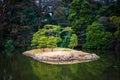 Lonely tree island in Shinjuku Gyoen Park