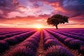 Lonely tree in lavender field at sunset, 3d render, Stunning lavender field landscape at summer sunset with a single tree, AI Royalty Free Stock Photo