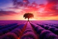 Lonely tree on lavender field at sunset, 3d render, Stunning lavender field landscape Summer sunset with single tree, AI Generated Royalty Free Stock Photo