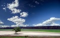 A lonely tree in the middle of a field against the background of a forest and a blue sk Royalty Free Stock Photo