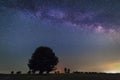 Lonely tree in the Milky Way Royalty Free Stock Photo