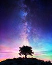 Lonely Tree With Milky Way - Starry Night