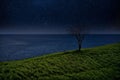 Lonely tree and the ocean against the starry sky. night landscape Royalty Free Stock Photo