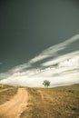 Lonely tree and pastures in the highlands landscape Royalty Free Stock Photo
