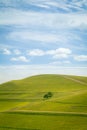 Lonely tree and pastures in the highlands landscape Royalty Free Stock Photo
