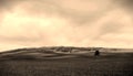 A lonely tree on a plowed spring field and a dramatic sky. Monochrome. Broun