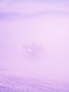 A lonely tree in a purple mist, a fantastic, surreal fairy-tale landscape