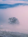A lonely tree in a purple mist, a fantastic, surreal fairy-tale landscape