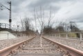 Lonely Tree on Railway Track in Muenster