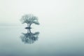 Lonely tree reflection on the calm water with dramatic moody sky in the background. Minimalistic isolated. Royalty Free Stock Photo