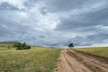 A lonely tree by the road against the backdrop of endless fields and hills on cloudy summer day on Olkhon island, Russia Royalty Free Stock Photo