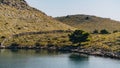 Lonely tree on rocks of Dugi Otok island in Adriatic Sea, Croatia Royalty Free Stock Photo