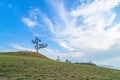 A lonely tree on a sacred cape Burkhan in summer time. Olkhon Island, Baikal lake Royalty Free Stock Photo