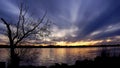 lonely tree on the shore and a magical sunset with a dark blue sky Royalty Free Stock Photo