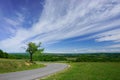 Lonely tree on the side of the road Royalty Free Stock Photo