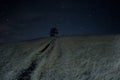 A lonely tree sits on a hill under the stars. Royalty Free Stock Photo