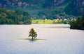 Lonely tree on the small island on Suldalsvatnet lake. Picturesque morning scene in Norway, Europe. Beauty of nature concept