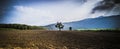 Lonely Tree on soil ground earth field for agriculture over green nature mountain beautiful blue sky background Royalty Free Stock Photo