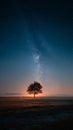 Lonely tree standing in field at night under milky way galaxy Royalty Free Stock Photo