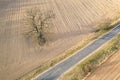 A lonely tree stands near the road on an empty field. Spring landscape aerial photography Royalty Free Stock Photo