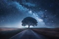 Lonely tree stands sentinel on asphalt road under starlit sky