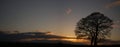 Lonely tree in sunset (Peak District - England) Royalty Free Stock Photo