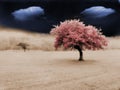 Lonely tree in surreal field