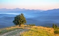 Lonely tree on the top of a hill against the background of mountain silhouettes in the early morning, peaceful landscape Royalty Free Stock Photo