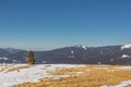 Lonely tree on top of a mountain Royalty Free Stock Photo