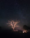 Lonely tree under starry sky Royalty Free Stock Photo