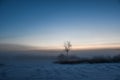 A lonely tree waiting for sunrise. Royalty Free Stock Photo