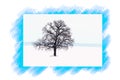 Lonely tree in winter without leaves against sky and winter white snow / 2 tree of 4 trees from the collection `The seasons. Four Royalty Free Stock Photo