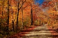 Changing autumn colors on a lonely Vermont road. Royalty Free Stock Photo