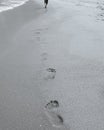 Lonely walk on a beach