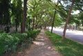 Lonely Walk way Royalty Free Stock Photo