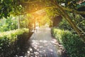 Lonely walk way in summer Royalty Free Stock Photo