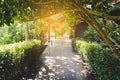 Lonely walk way in summer Royalty Free Stock Photo