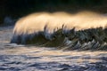 Lonely wave breaking