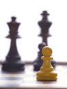 Lonely white pawn Royalty Free Stock Photo