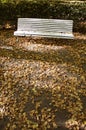 Lonely white wooden bench in old park in autumn Royalty Free Stock Photo