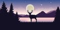 Lonely wildlife reindeer in nature beautiful lake at night with full moon and starry sky mystic landscape Royalty Free Stock Photo