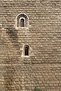 Lonely windows on a big monastery