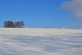 Lonely winter snowy white and blue idyllic landscape