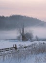 Lonely winter tree. Sweet loneliness. Cold and cloudy day with lots of snow. Winter snow blizzard and fog in forest near the Royalty Free Stock Photo