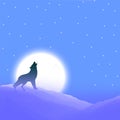 lonely wolf night scene blue sky Royalty Free Stock Photo