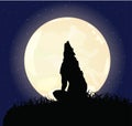The lonely wolf sits on a rock Royalty Free Stock Photo