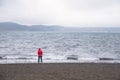 Woman standing alone on the shore of a lake in Iceland on a foggy summer day Royalty Free Stock Photo