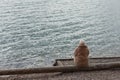 Lonely woman sitting by the lake alone Royalty Free Stock Photo